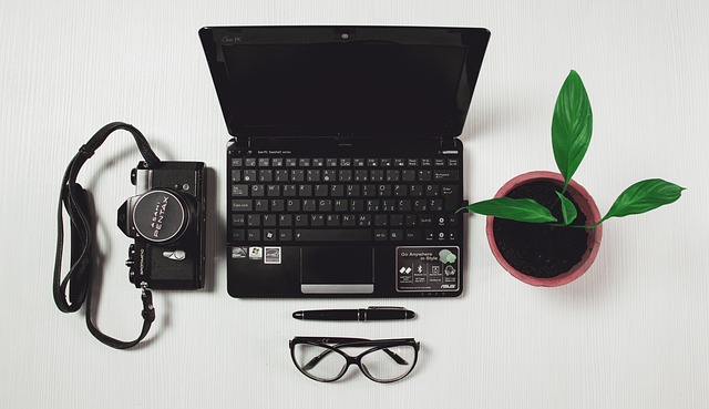 Laptop with camera and plant